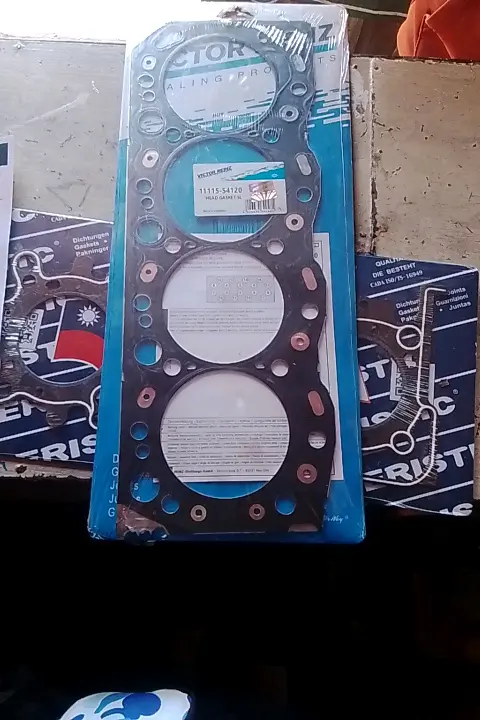 VECTOR Rainz Gasket