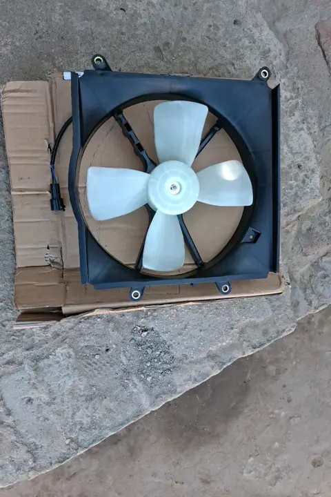 Radiator Cooling Fan Assembly