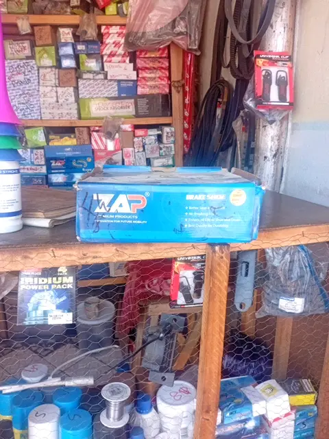 ZAP Brake Shoe