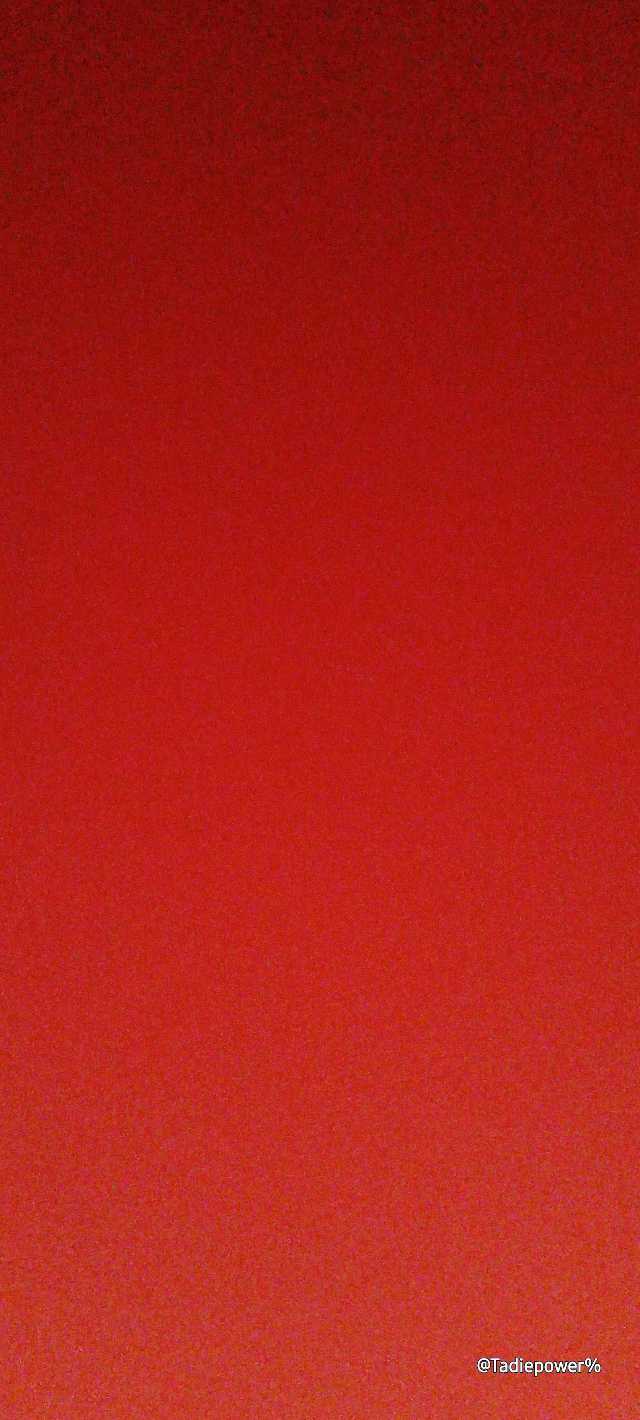 tate shop