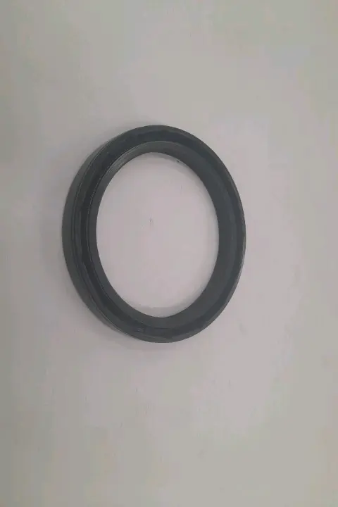 Oil Seals
