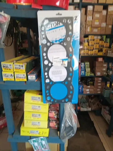 VICTOR REINZ Head Gasket