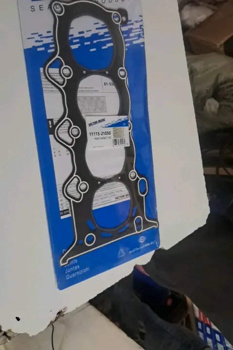 VICTOR REINZ Head Gasket