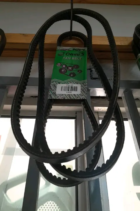 Omni S Fan Belt
