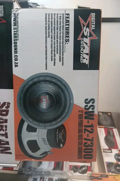 DIGITAL STAR SOUND 12-inch Dual Voice Coil Car Subwoofer