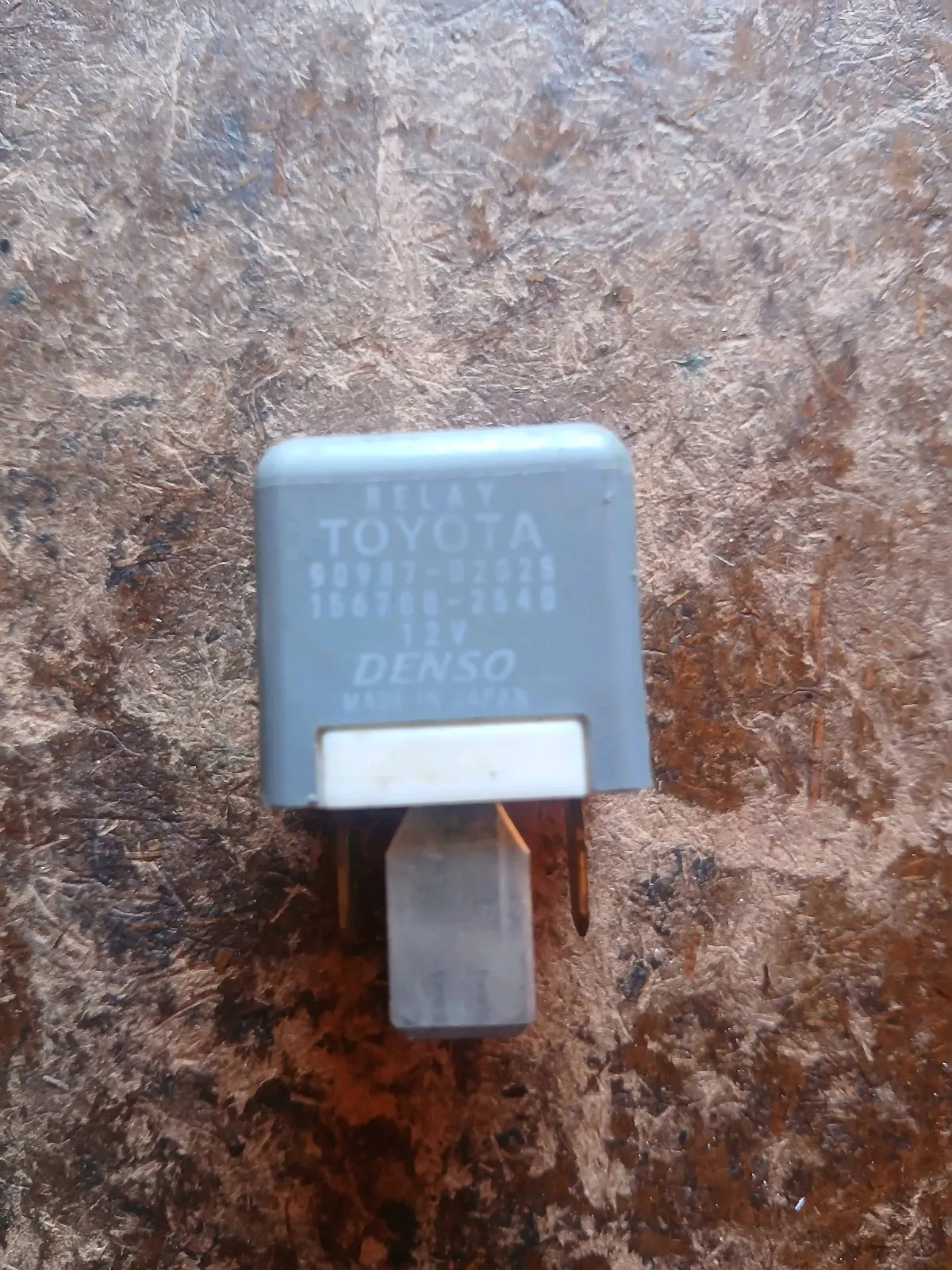 Image 3