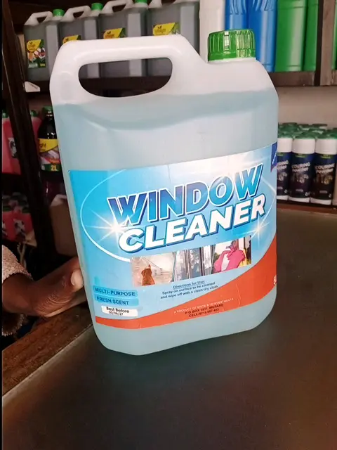 Best Beliepo Investments Window Cleaner